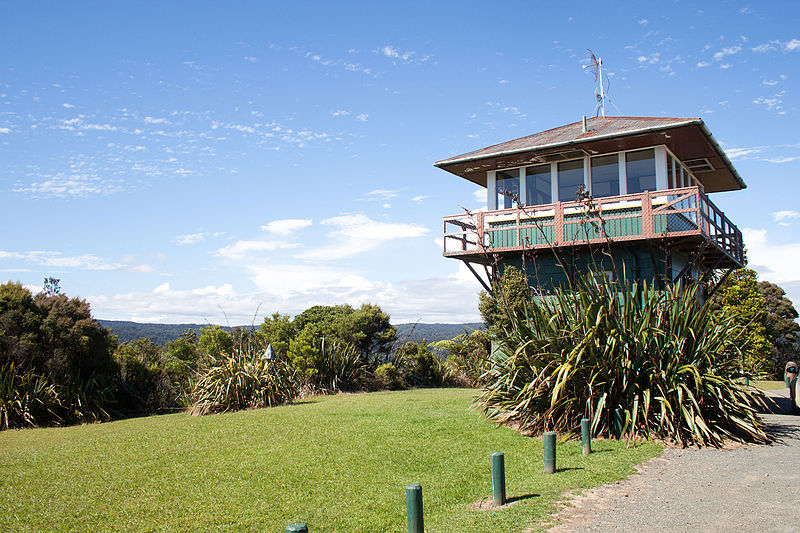File:Waipoua Forest, old fire lookout tower-3.jpg