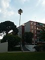 Català: Washingtònia de Can Verdaguer (Barcelonès) (Barcelona). ca:Washingtonia robusta. No homologat. This is a a photo of a protected or outstanding tree in Catalonia, Spain, with id: MA-13.980.03 Object location 41° 26′ 03.95″ N, 2° 10′ 44.51″ E  View all coordinates using: OpenStreetMap