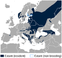 White-backed Woodpecker Dendrocopos leucotos distribution in Europe map.png