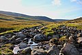 Wicklow Mountains National Park Glenealo River 04.JPG