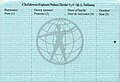 Страница сведений о детях владельца паспорта