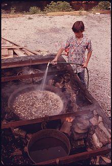 A boy preparing boiled peanuts in Helen, Georgia, c. 1974. YOUNGSTER SPRAYS WATER ON BOILING PEANUTS IN HELEN, GEORGIA NEAR ROBERTSTOWN. HELEN WAS A TYPICAL SMALL MOUNTAIN... - NARA - 557700.jpg