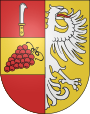 Coat of arms of the city of Hustopeče