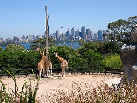 Zoo Taronga de Sydney