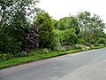 'Front gardens', Stony Batter (2) - geograph.org.uk - 2481030.jpg