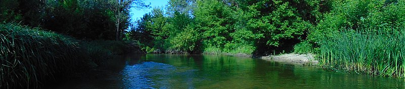 File:Панорама реки Толучеевки, Петропавловский район.jpg