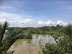Kuala-Selangor-Naturpark