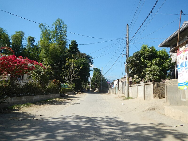 File:04664jfFarm Roads Trees Paddy Fields Gulap Candaba Pampangafvf 11.JPG