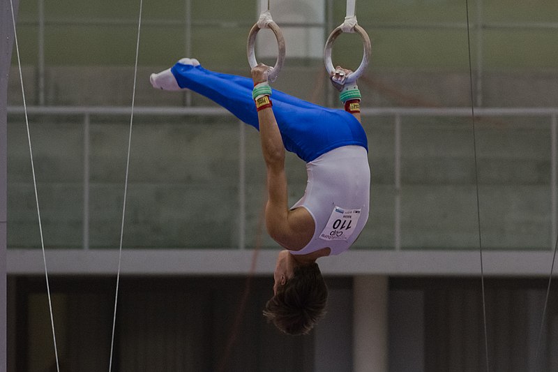 File:13th Austrian Future Cup Linz-Mayer Niklas-6604.jpg