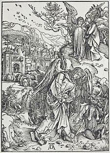 Albrecht Dürer Apokalypsa: Historické souvislosti, Apokalypsa, Reference