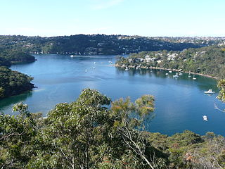 <span class="mw-page-title-main">Middle Cove, New South Wales</span> Suburb of Sydney, New South Wales, Australia