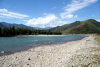 Katun (river)