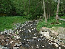 Zusammenfluss von Reichen- und Rombach zum Liederbach