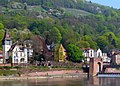 Blick von einem Boot der Rhein-Neckar-Fahrgastschifffahrt auf Heidelberg-Neuenheim und das Wehr zwischen Neuenheim und der Altstadt