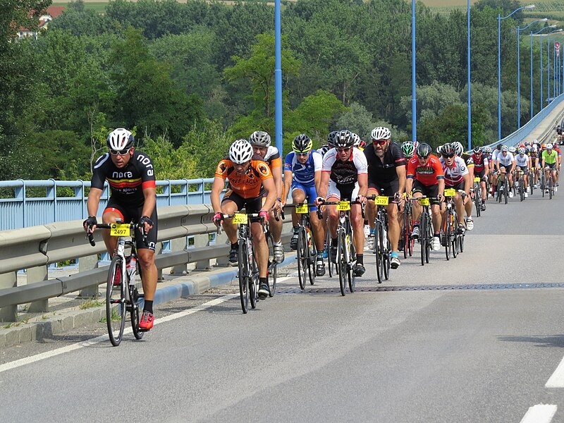 File:2018-07-15 (308) Wachauer Radtage at Donaubrücke Melk.jpg