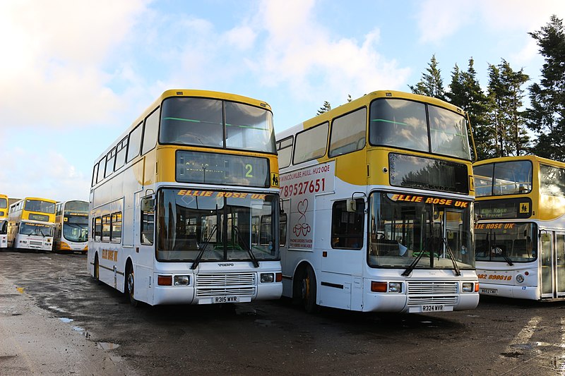 File:20180106 Ellie Rose Depot Olympians.jpg