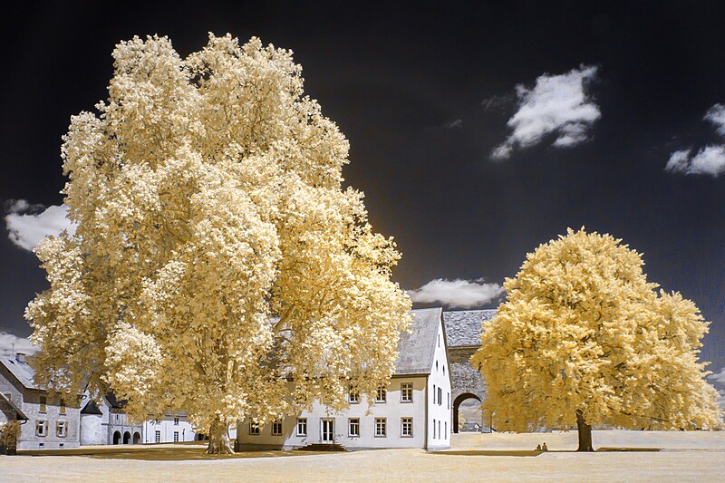 File:2023-06-14 12-03-54 Kloster Lorsch.jpg