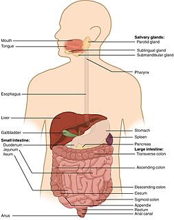 Auto-brewery syndrome Medical condition