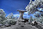 Thumbnail for File:24 June 2012 Infrared HDR Colorado Springs (7434067138).jpg
