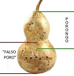 De dónde es el Mate?  Qué es, Dónde se Produce & Más