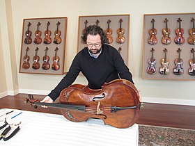 Firentinska kolekcija violina porodice Amati