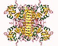 Thumbnail for Glucose-1-phosphate adenylyltransferase