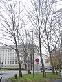 image=https://commons.wikimedia.org/wiki/File:7000_Eichen_-_Graf-Bernadotte-Platz_2019-11-22_e.JPG