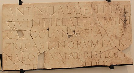 Inscription from Vasio mentioning Antistia Pia Quintilla, the flamen of the Colonia Flavia Tricastinorum.[23]
