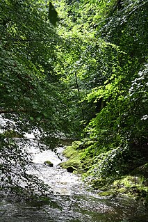 A stream in Scotland (Kirkton Burn) - view downstream