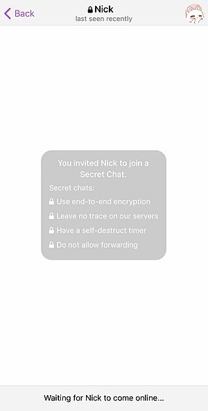 A "secret chat" confirmation notice in Telegram.jpg