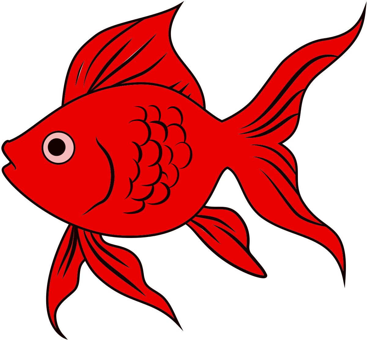 Download File A Goldfish By Samin Samin Svg Wikimedia Commons