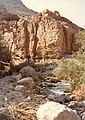 A rare stream in the desert