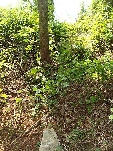 File:A stone marker on a hillside at Tuscumbia Landing near Sheffield, Alabama (ce88dd54-c567-4b82-ad9c-7170d4f9d643).JPG