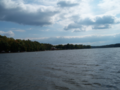 Main channel in northern end of Abbotts Creek