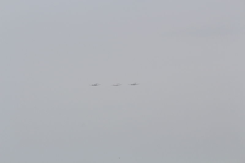 File:Air Force Fly By on Tel Aviv Beach IMG 9112.JPG