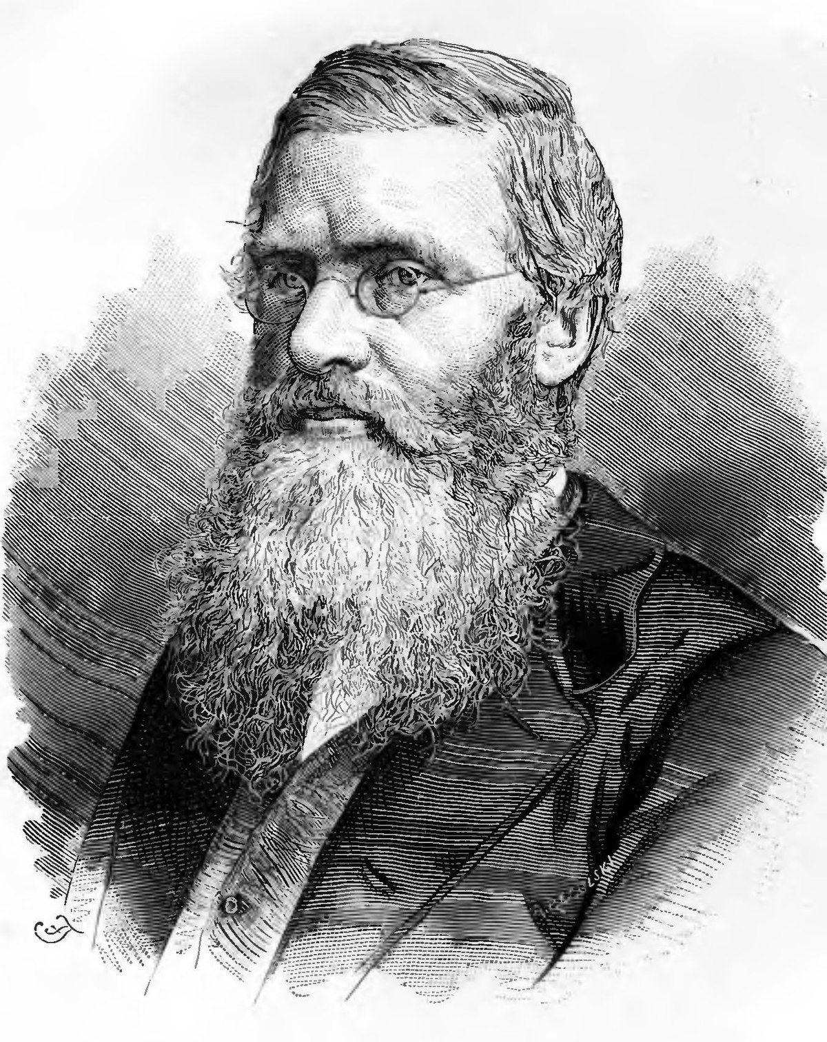 File Alfred Russel Wallace Engraving Jpg Wikimedia Commons
