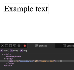 Alt attribute example.png