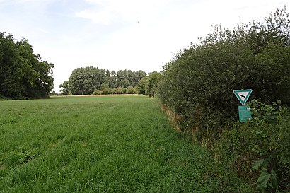 So kommt man zu Altneckarlachen Von Alsbach, Hähnlein Und Bickenbach mit den Öffentlichen - Mehr zum Ort Hier