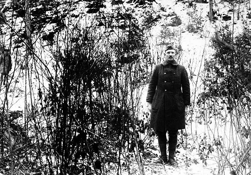 File:Alvin C. York shows hill on which raid took place HD-SN-99-02157.JPEG