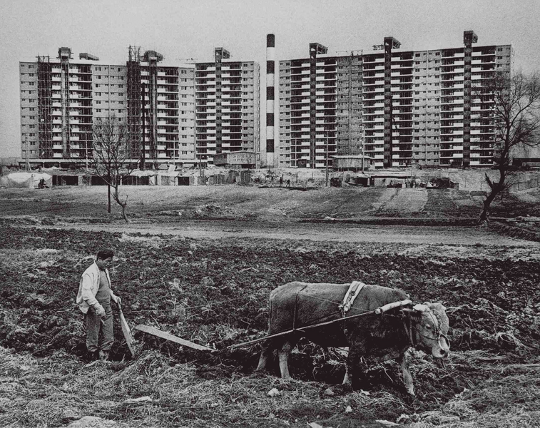 File:Apgujeong-dong 1978-04-20.png