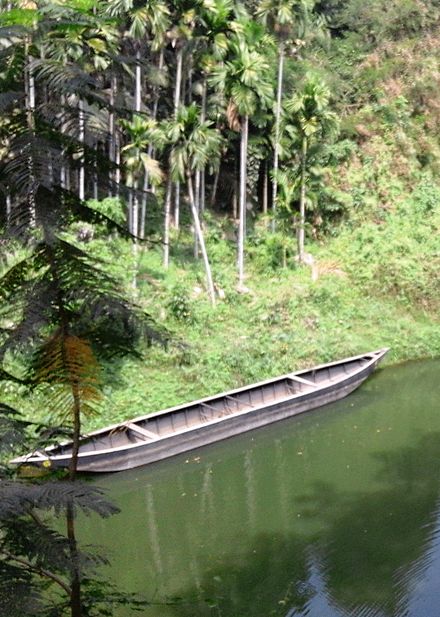 Poongudy River, Areekode