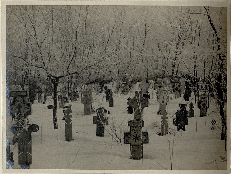 File:Auf dem Friedhof in Tabarasti (Rumänien), 6.2.1917 (BildID 15545077).jpg