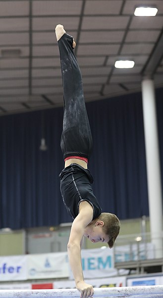 File:Austrian Future Cup 2018-11-23 Training Afternoon Parallel bars (Martin Rulsch) 0254.jpg