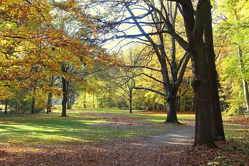 File:Autumn - Großer Tiergarten, Berlin, Germany - DSC09467.JPG