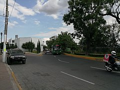 Category:Zapopan - Wikimedia Commons