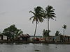 A village in the Kerala Backwaters