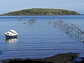 Balcary Fishery and Hestan Island - geograph.org.uk - 2019931.jpg