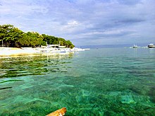 Balicasag Marine Sanctuary