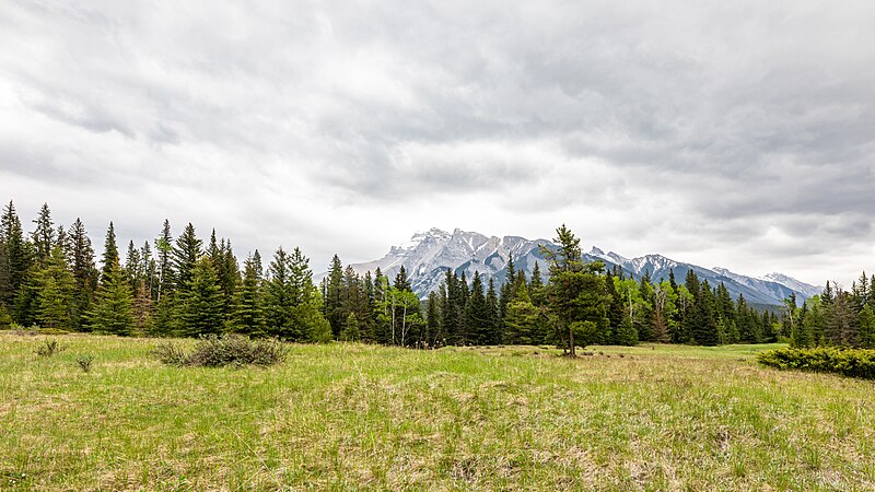 File:Banff National Park (AB, Canada), Bankhead, Upper Bankhead -- 2022 -- 2319.jpg