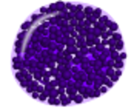 ไฟล์:Basophil.png